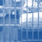 Umgehungsgeschäfte – Illegale Exporte aufgedeckt